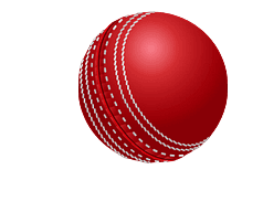 cricket red ball